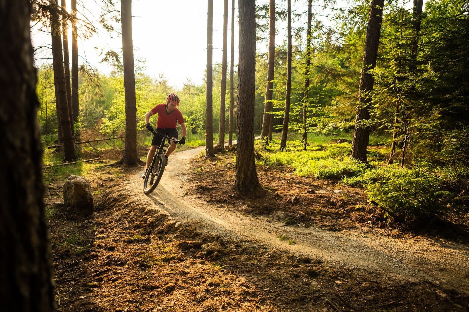 NOWE5 ciekawych tras rowerowych na weekend w okolicy Giżycka