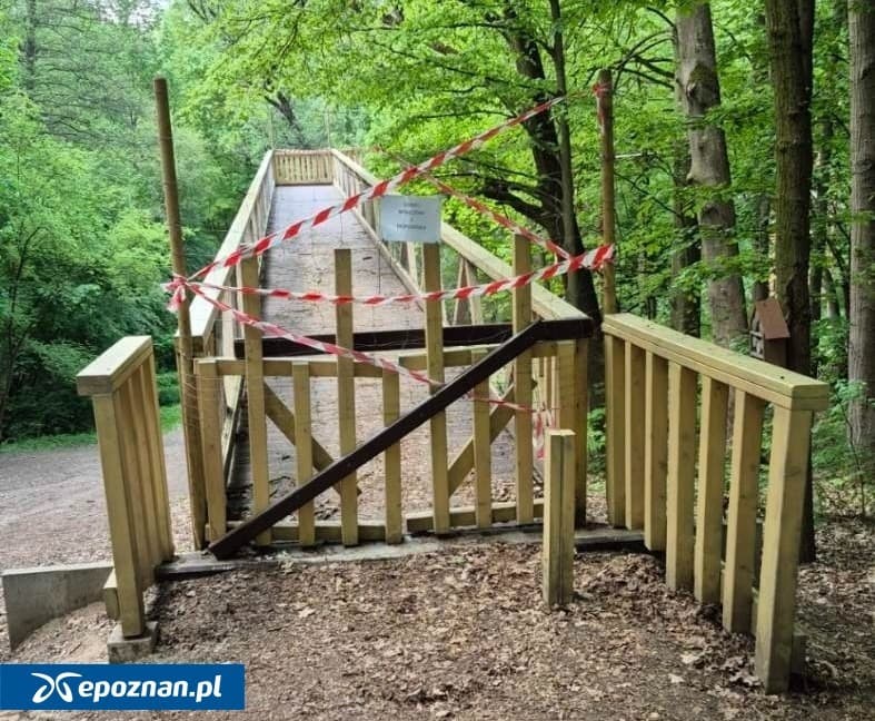 Ścieżka w koronach drzew do rozbiórki. Miasto zapowiada pozew
