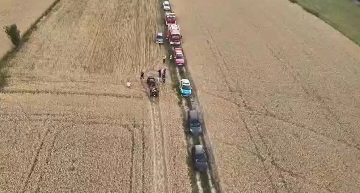Alarm w gminie Tomaszów Lub. 3,5-latek zgubił się w lesie