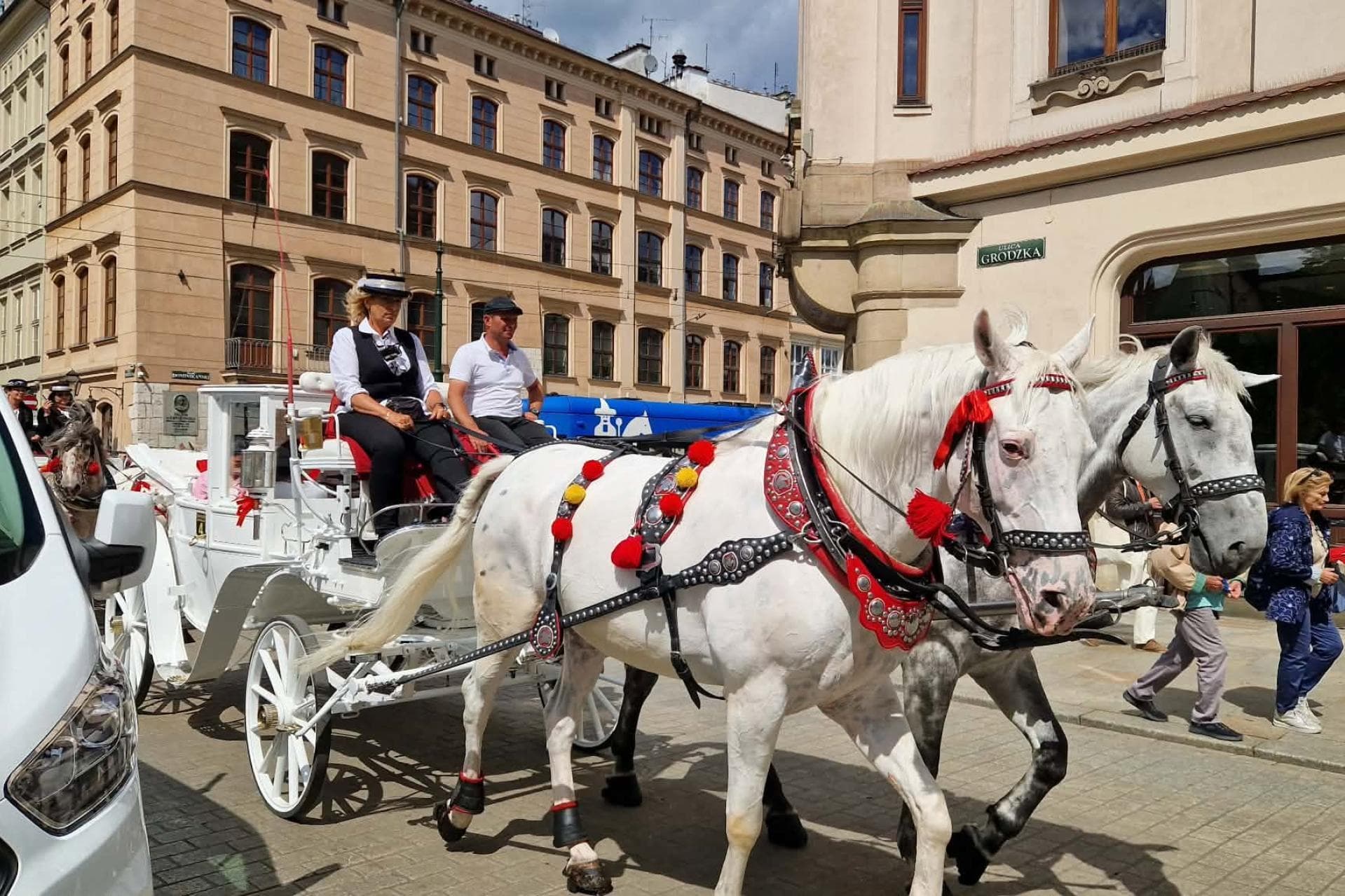 Czy konie znikną z Rynku Głównego? Burzliwa debata podczas sesji Rady Miasta