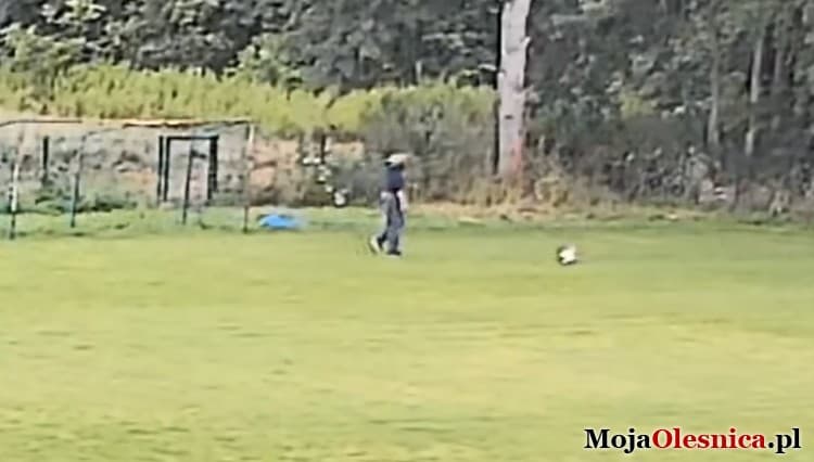 Czy rozpoznajesz tego mężczyznę? Połakomił się na piłkę pozostawioną na boisku, jest nagranie