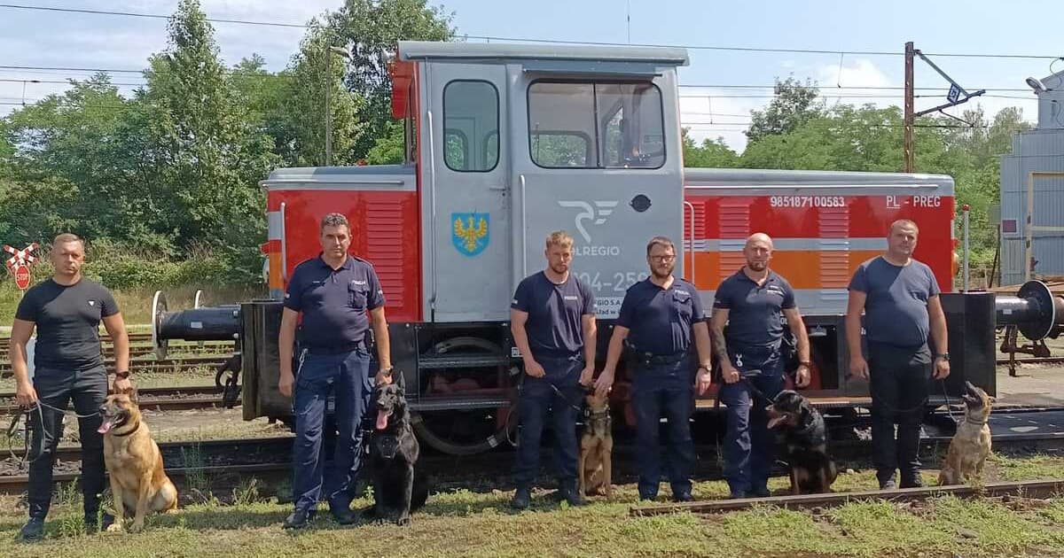 Dworzec zamienił się w poligon. Policyjne psy ćwiczyły pościgi i wykrywanie narkotyków