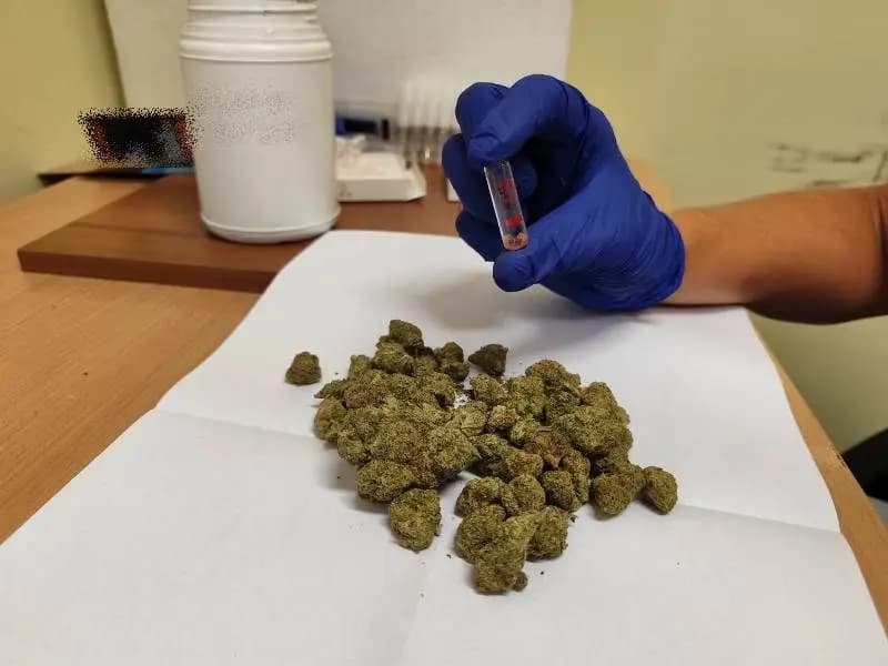 Interwencje dolnośląskich policjantów: dwóch zatrzymanych i ponad 5 kg narkotyków