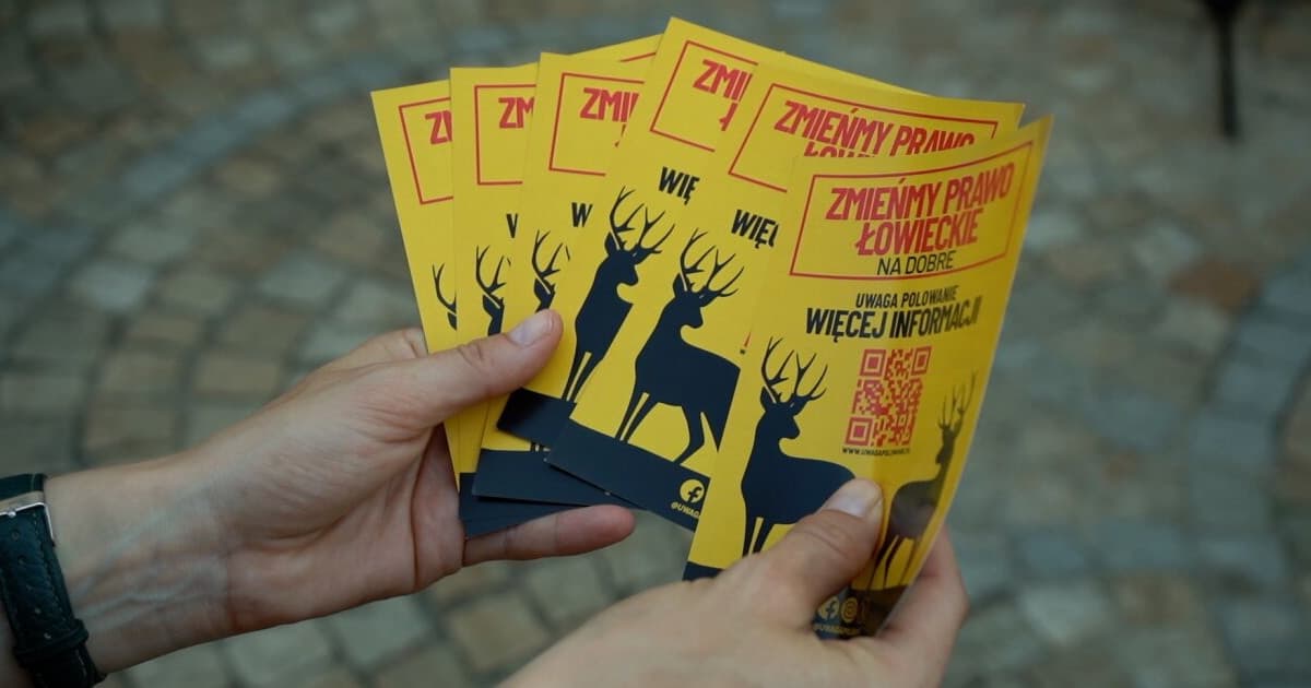 Obywatele mogą zmienić prawo łowieckie. Na Dolnym Śląsku zbierają podpisy