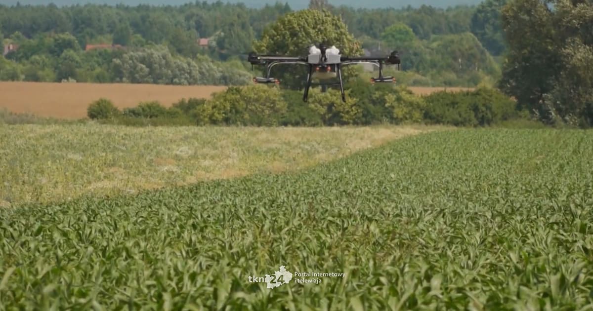 Odkryj rolnictwo przyszłości w ŚODR Modliszewice