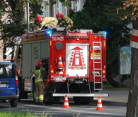 Osy w Urzędzie Pracy! Szukały etatu czy dotacji? Na miejsce przyjechali strażacy