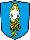 Parafia Rzymskokatolicka - Wikariat