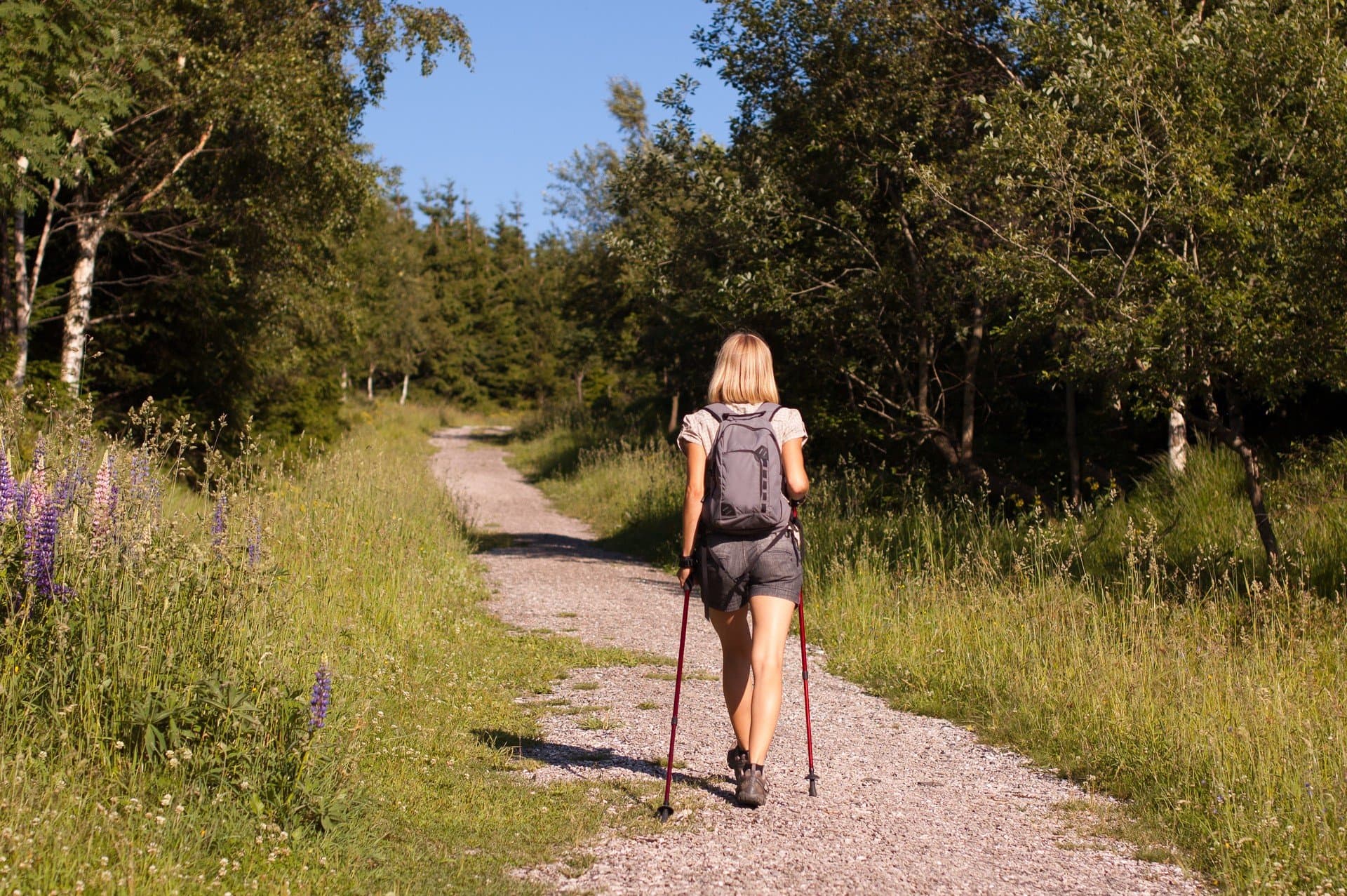 Trasy nordic walking w pobliżu Szczecinka