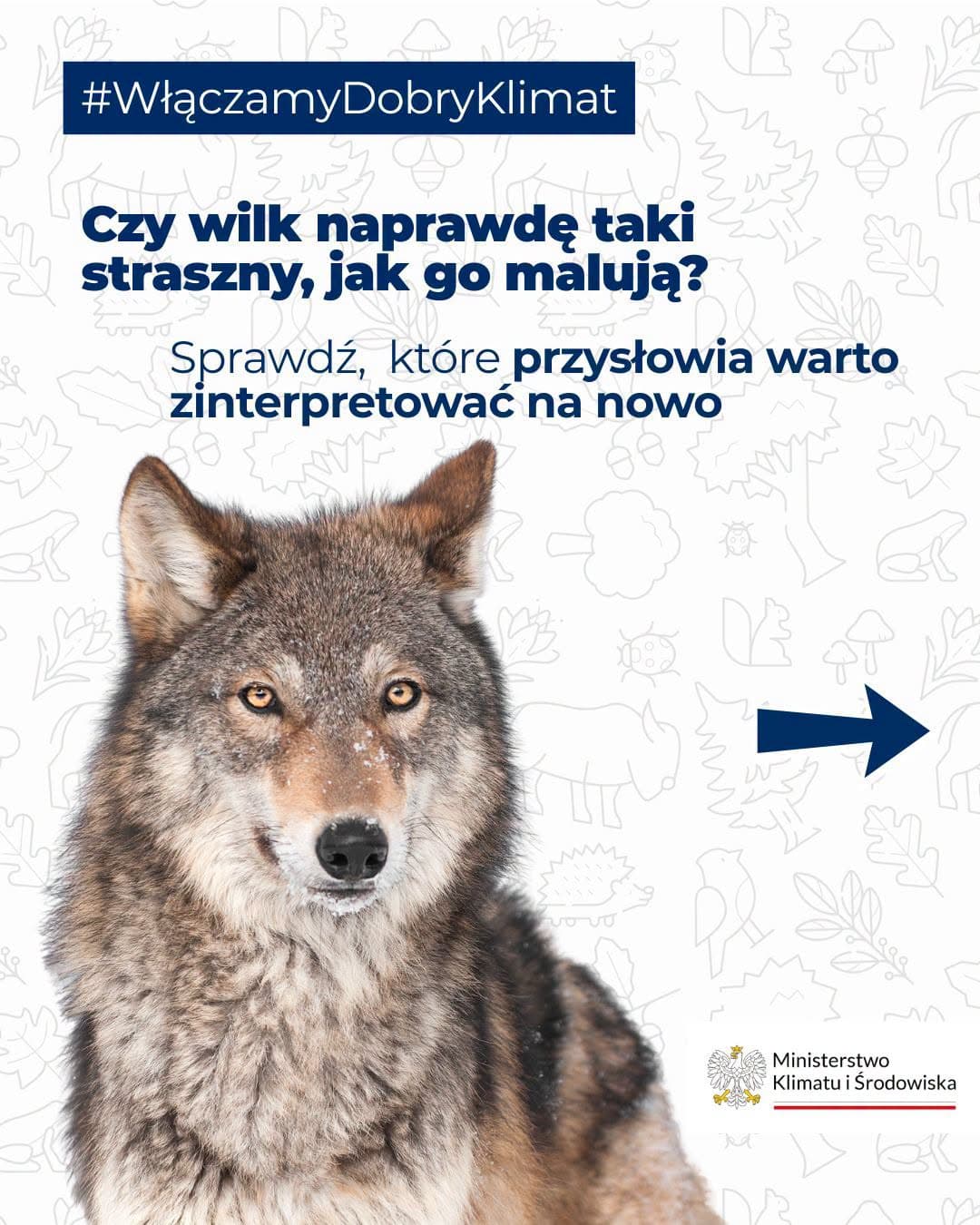W oparach absurdu: Ministerstwo Klimatu tworzy „indeks przysłów zakazanych”?