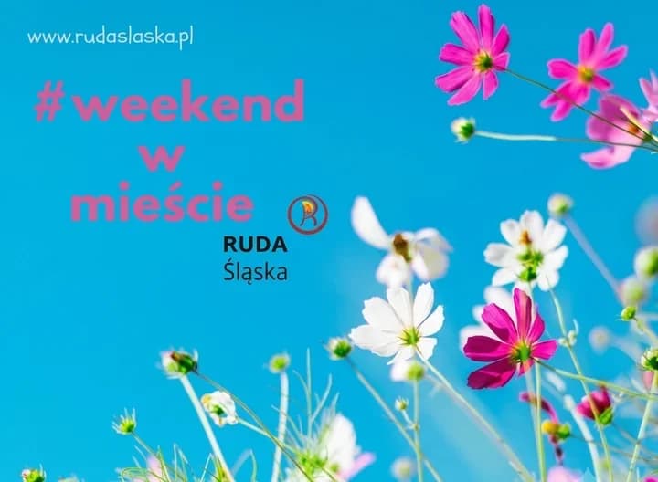 Wakacyjny weekend w Rudzie Śląskiej. Muzyka, joga i dinozaury