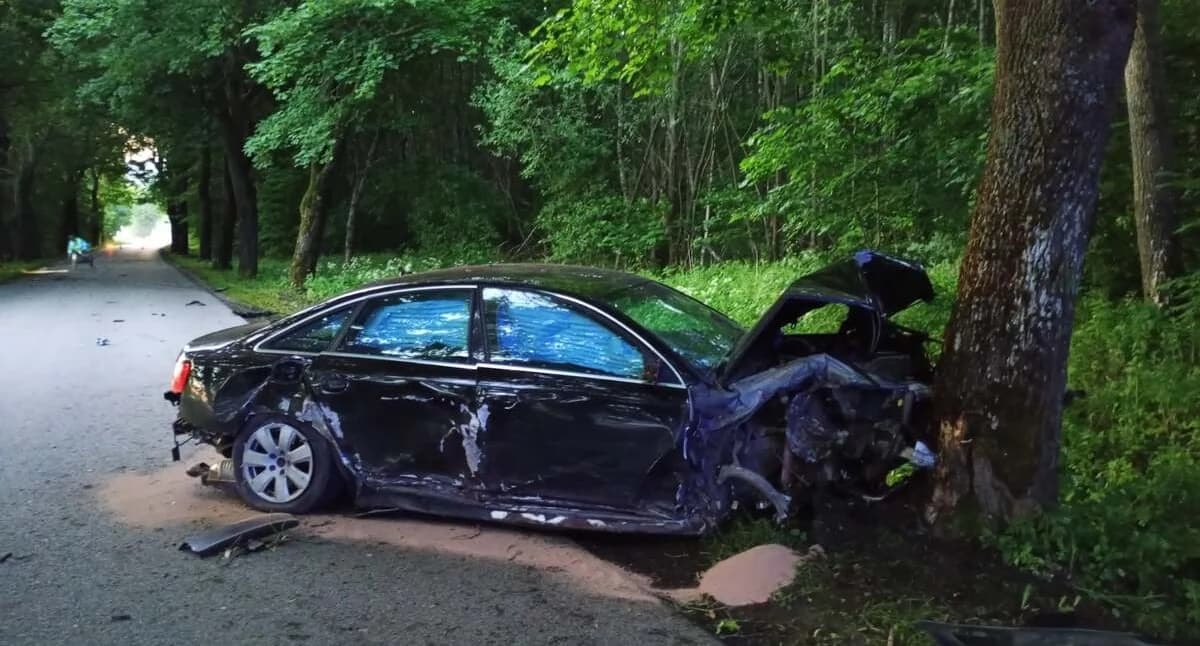 Rozbite Audi i pijany 20-latek na tylnym siedzeniu