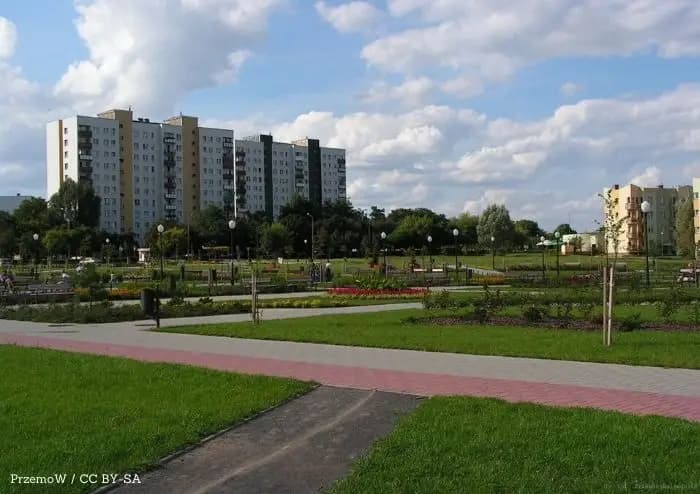 Ptaki będą bliżej niż zwykle. W Głogowie rusza spacer z OTOP