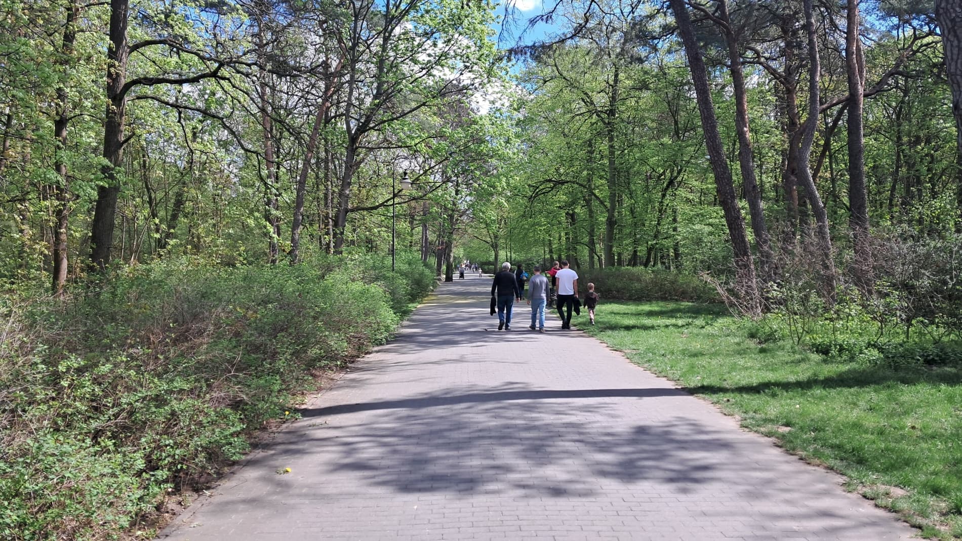 Pogoda na weekend w Toruniu. Chłodniej i bez burz