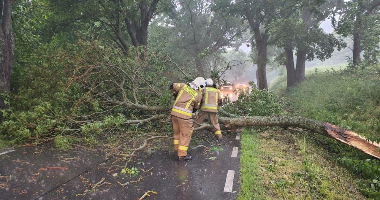 Połamane drzewa, porwane namioty, ewakuacje. Pogodowy armagedon na Mazurach