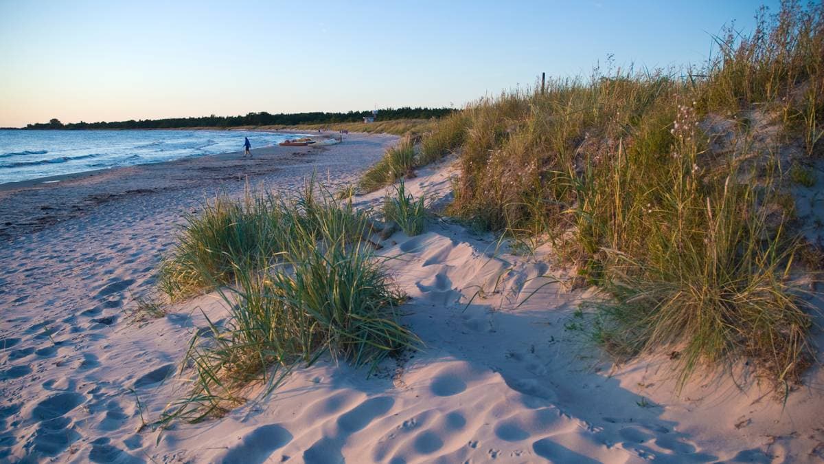 Nietypowa prośba władz wyspy. Chcą, by turyści myli się w... Bałtyku