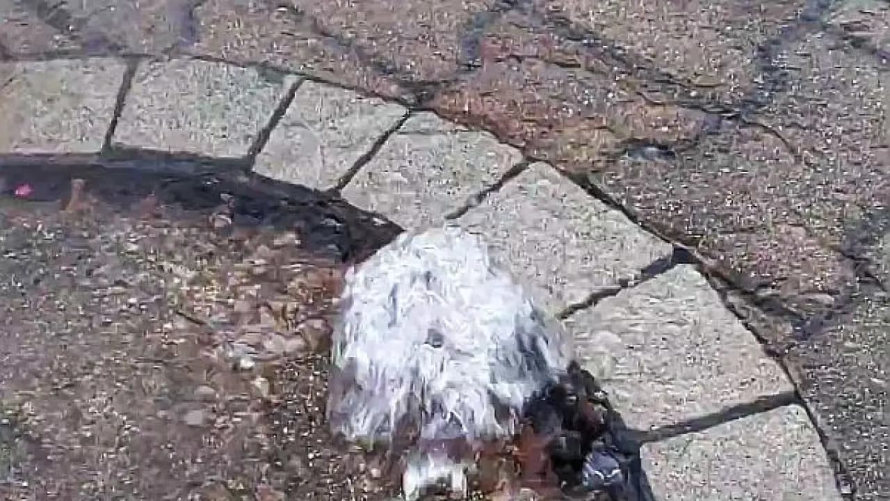 Ulewa nad Bolesławcem. Niektóre studzienki nie nadążały z odprowadzaniem wody