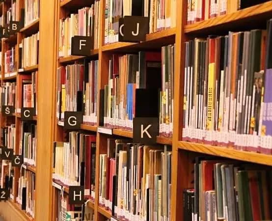 Pszczółki odkryły Lubitekę - biblioteka potrafi zaskoczyć nawet najmłodszych 📚