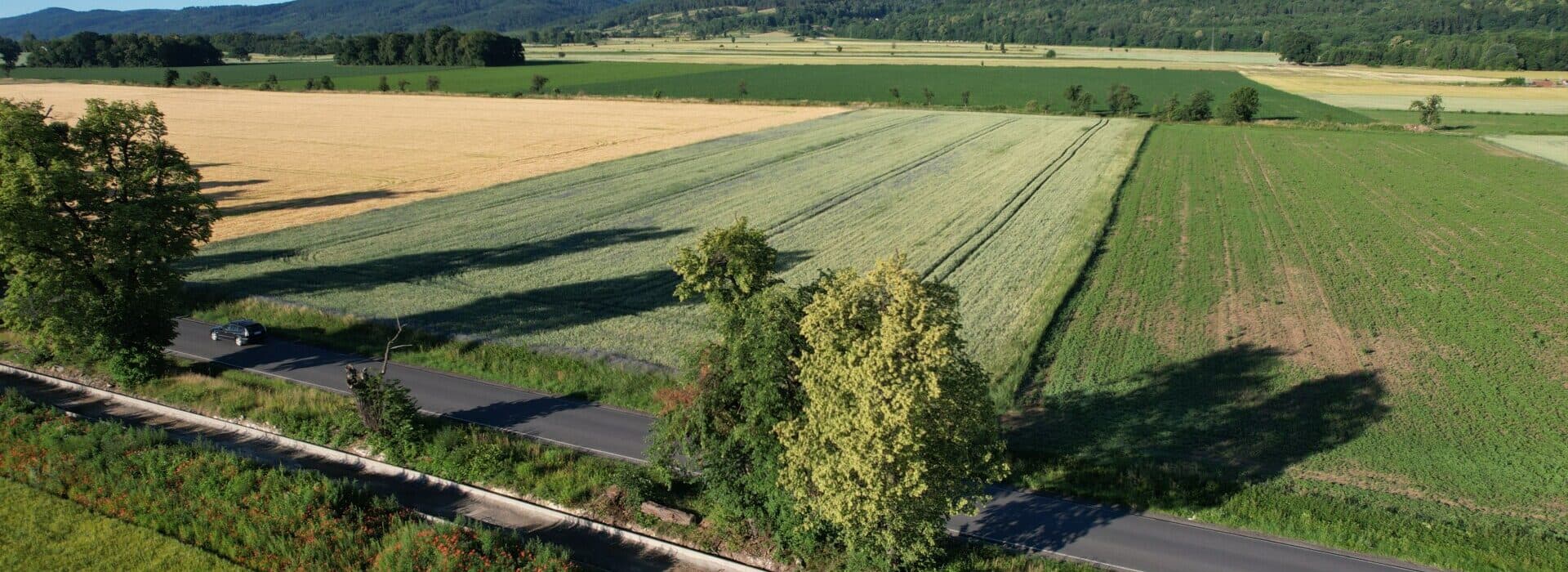 Budowa drogi pieszo-rowerowej z Pieszyc do Piskorzowa