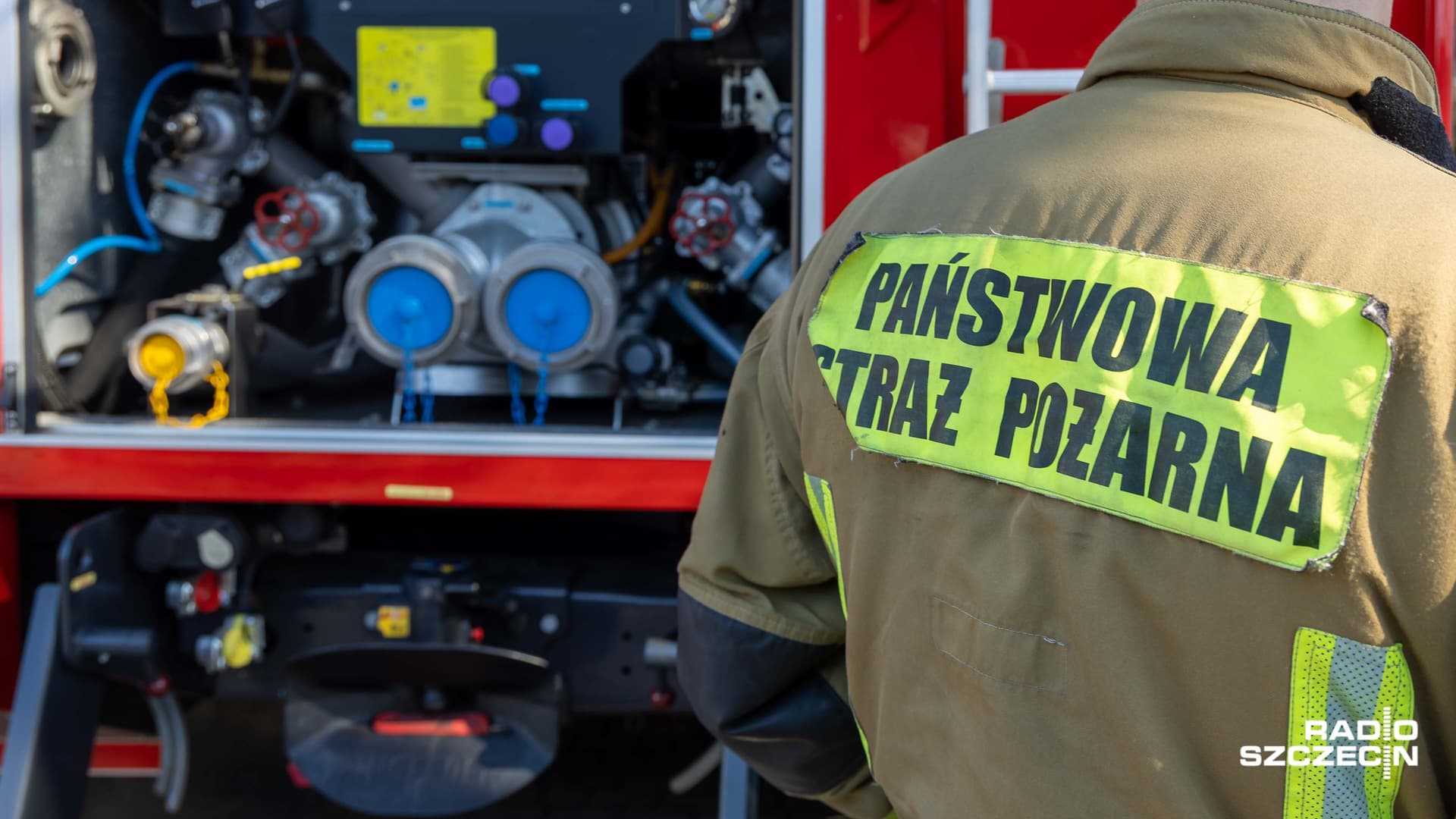 Zalania, powalone drzewa. Pracowity dzień strażaków