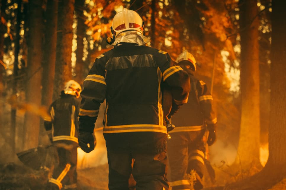 Pożar lasu na południu Hiszpanii. Część ofiar była uwięziona w autach