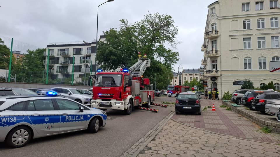 Seria interwencji strażaków w powiecie kołobrzeskim w związku z silnym wiatrem