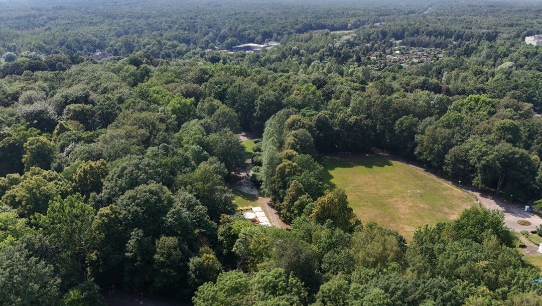 Park Murckowski w Katowicach przejdzie metamorfozę. Znamy pierwsze szczegóły przetargu