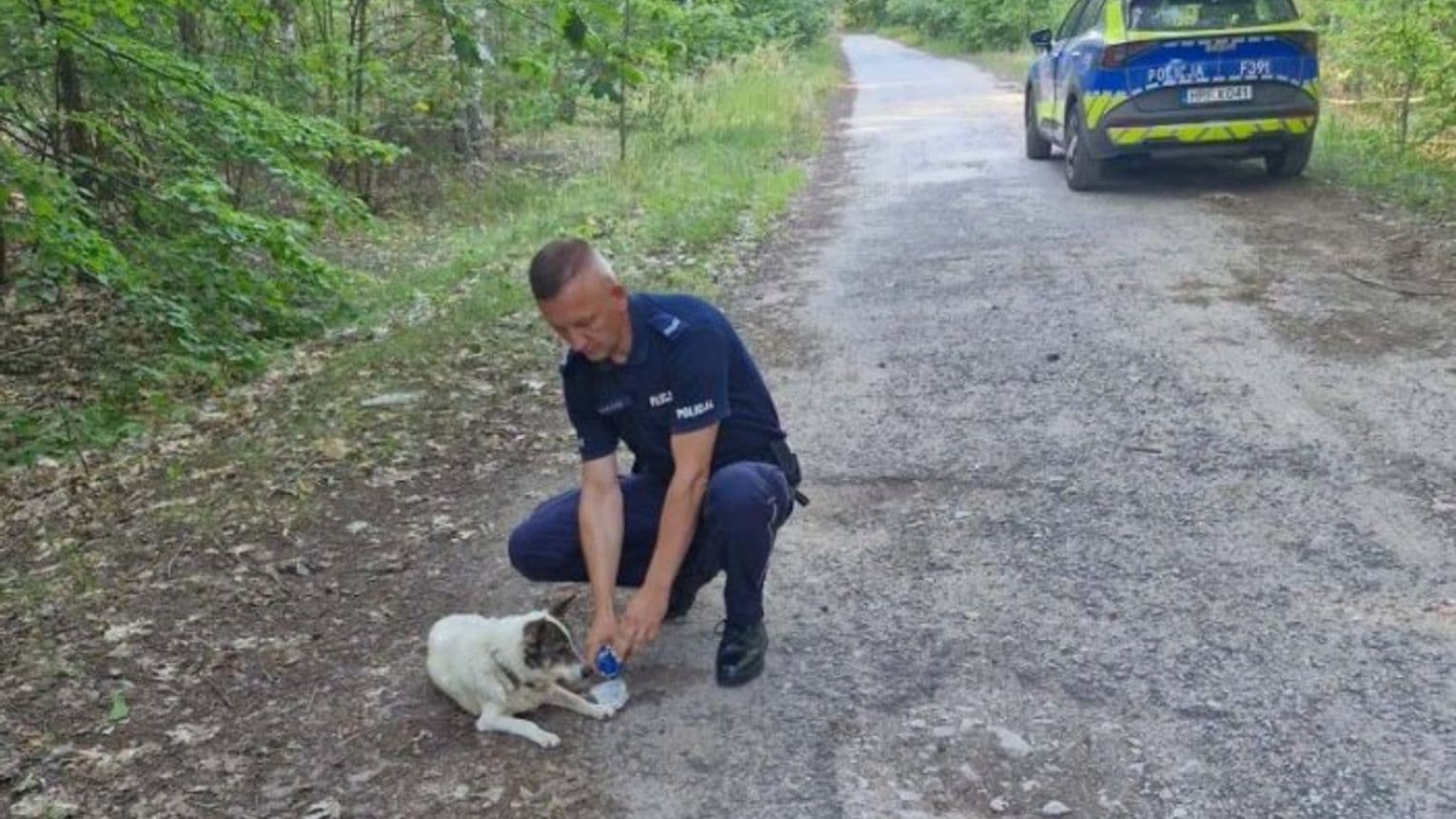 Świadek i policjanci uratowali wycieńczonego psa w Idzikowicach