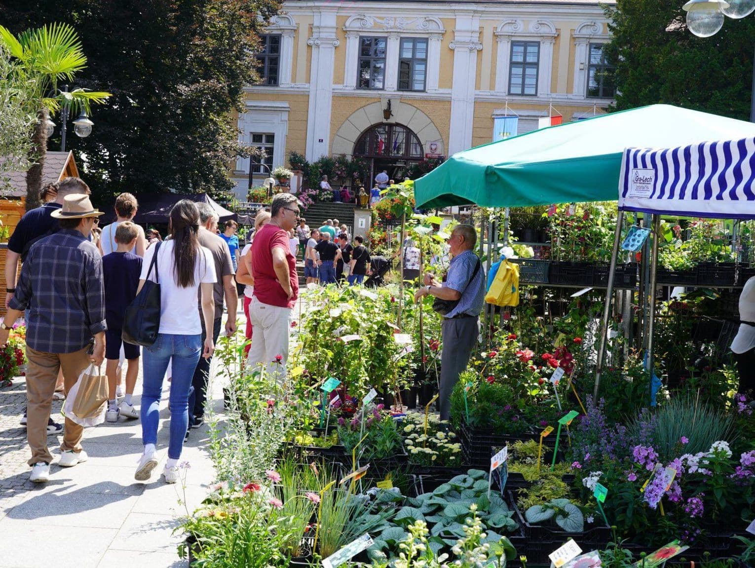 Rusza największa impreza florystyczna w południowej Polsce! Lato Kwiatów już od piątku w Otmuchowie!