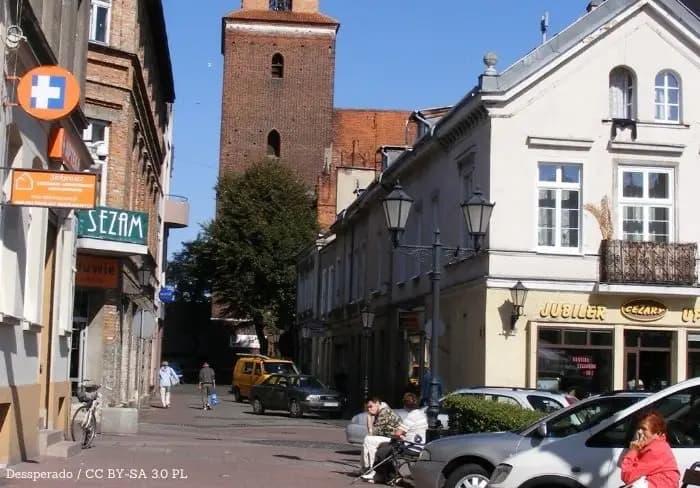 Na bulwarze stanęła nowa aleja. Każda lipa ma swoje miasto