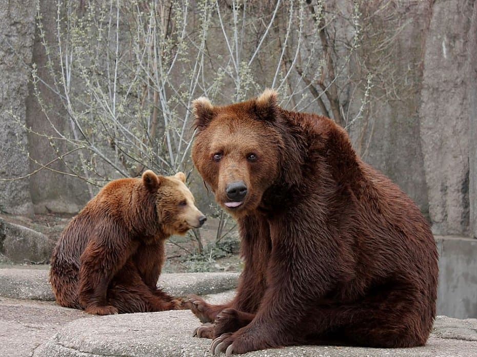 Wizyta w warszawskim zoo nie dla wszystkich? Sprawdźmy to!