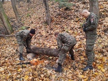 Ropczyce: „Strzelcy” pracowali przy „Wąwozie Powstańców Styczniowych”