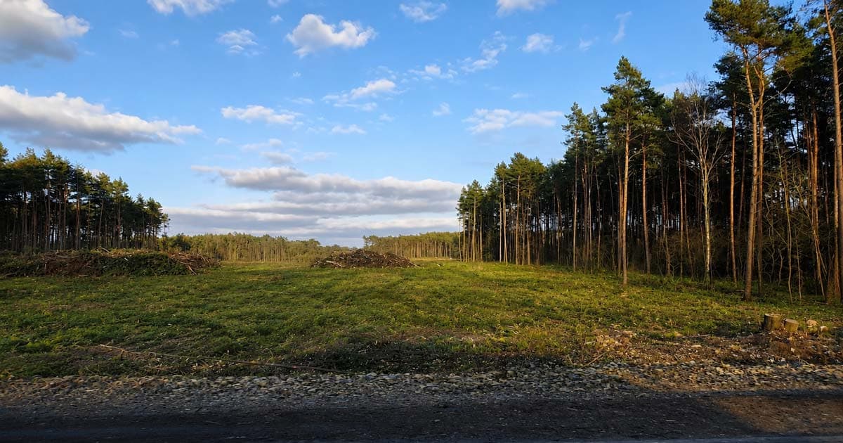 S11 Oborniki–Poznań: wicewojewoda wskazuje, gdzie utknęła procedura