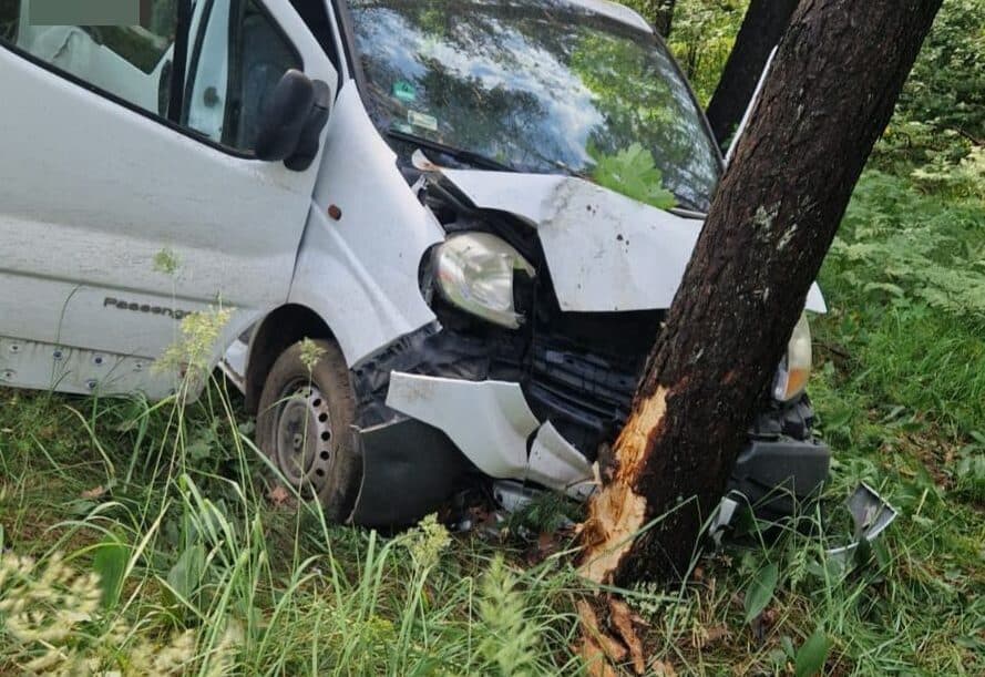 Chwila nieuwagi mogła zakończyć się tragedią. Dostawcze renault uderzyło w drzewo